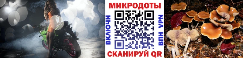 Купить где  Мезень  Галлюциногенные грибы GOLDEN TEACHER 